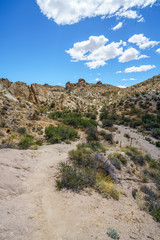 hiking the lost palms oasis trail in joshua tree national park, california, usa