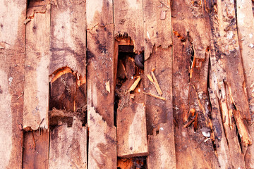 break in a rotten wooden floor