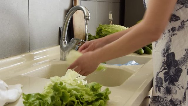 Woman hand washing lettuce in kitchen