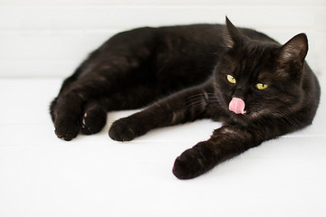 The black cat lies on white boards. Selective focus.