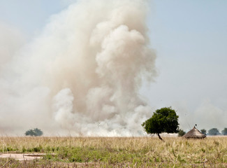 Fototapeta na wymiar Smoke rises into the sky in rural South Sudan. People burn the land to renew it.