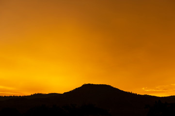 Forest Silhouette on background of Beautiful dark orange clouds.