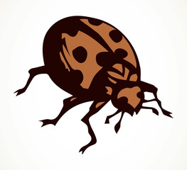 Ladybug beetle. Vector drawing icon