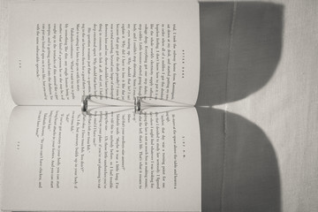Wedding rings on book and hearts