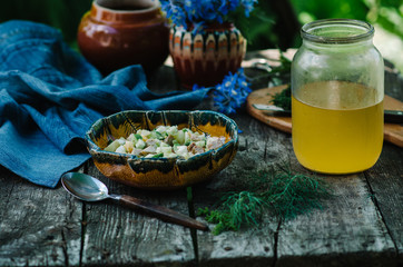 Russian spring-summer cold soup with vegetables with kefir. Rustic style.