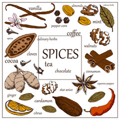 Herbs and spices decorative elements set of poppy seed vanilla cinnamon isolated vector illustration