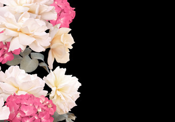 Floral banner, header with copy space. White roses and pink hydrangea isolated on black background. Natural flowers wallpaper or greeting card.