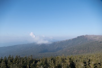 natural landscape in the national park sumava in czech republic