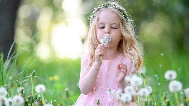 Portrait of a little cute girl playing in the garden. A girl with white hair with a bouquet of dandelions. children, emotions.