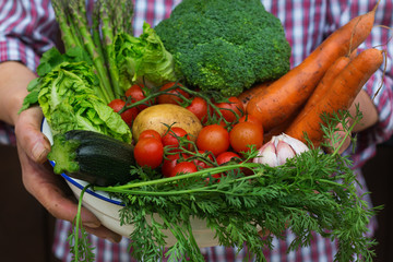 Assortment or farmer market bio organic ripe vegetables in hands