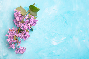beautiful purple lilac on a blue textured background