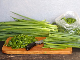 Harvesting,storage, and freezing of vegetables and fruits.The process of cutting onions on a dark table and packing them in plastic bags.
