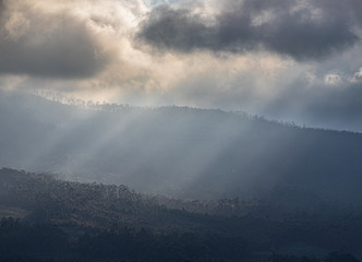 Scenes of sunlight with fog!