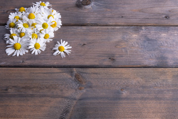 Obraz premium healing chamomile flowers and fresh ears of barley on a table