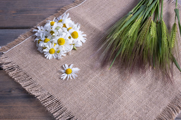 collected daisy flowers on burlap and fresh ears of barley on a table