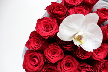 greeting card design. bouquet of red roses on a white background. congratulation. invitation