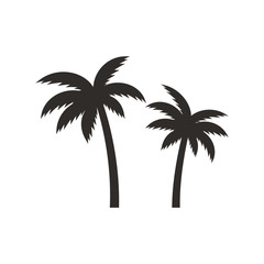 Coconut tree vector illustration isolated on white. Tropic palm black silhouette.