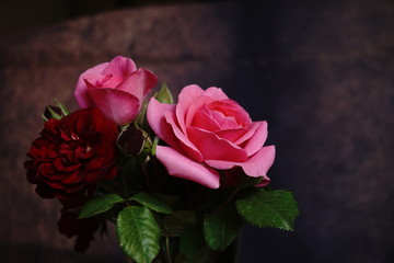 pink rose on old wooden background