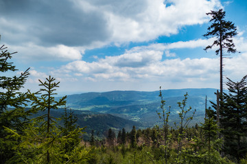 natural landscape in the national park sumava in czech republic