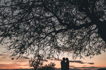 Silhouette of a couple sitting on a tree at sunset