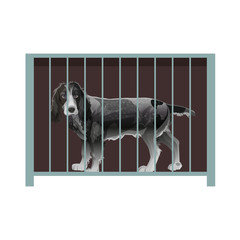 Animals shelter. Dog Spaniel inside a cage.