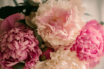 Beautiful peony flowers. Paste colors. Pink and white peonies. Pink petals. Flower buds. Summer bouquet of flowers. Summer time. Green leaves. Macro flowers. Close up. Spring time. Large peonies.