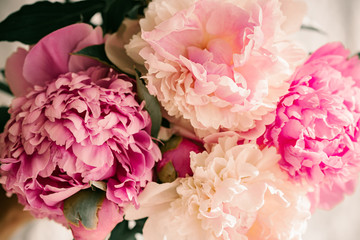 Beautiful peony flowers. Paste colors. Pink and white peonies. Pink petals. Flower buds. Summer bouquet of flowers. Summer time. Green leaves. Macro flowers. Close up. Spring time. Large peonies.