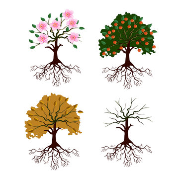 Apple tree in different seasons cartoon style