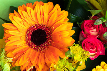 Bright orange gerbera and roses in a bouquet of flowers. Beautiful bouquet gift for the holiday. Flowering plants as a postcard.