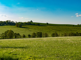 Fototapeta na wymiar natural landscape in the national park sumava in czech republic