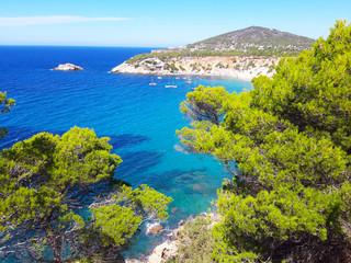 bright colors of the wild nature of the bay of Cala d'hort in ibiza in summer