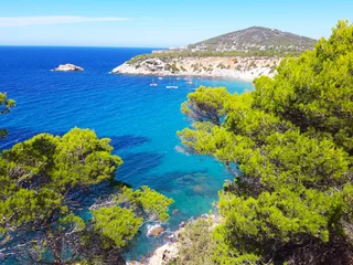 Fotobehang bright colors of the wild nature of the bay of Cala d'hort in ibiza in summer © Alessia