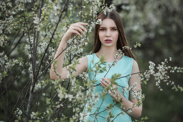  Beautiful girl in a blue dress in blooming gardens. High quality photo. Blooming gardens.
