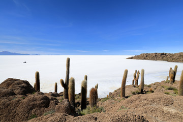 View of the Salar de Uyuni salt desert from the Incahuasi island overgrown with cactuses in Bolivia