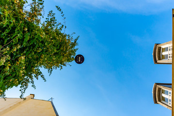 Low angle view of a lamp post covered with honeysuckle, Butte-aux-Cailles, Paris, France