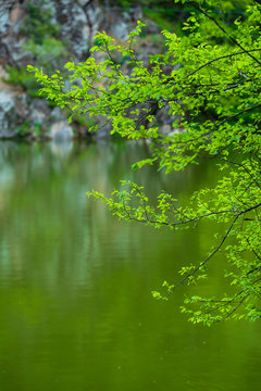 Parz Lich (Clear Lake) in Dilijan, Armenia