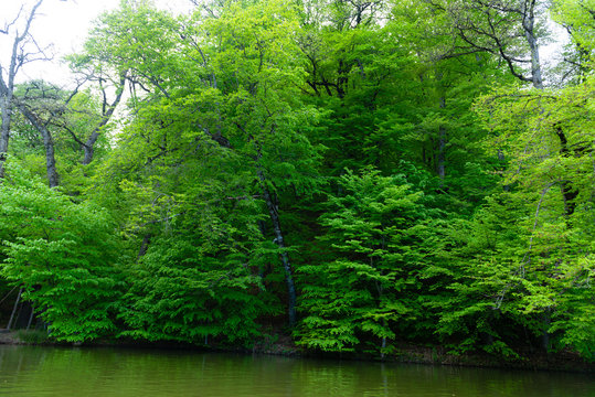 Parz Lich (Clear Lake) in Dilijan, Armenia
