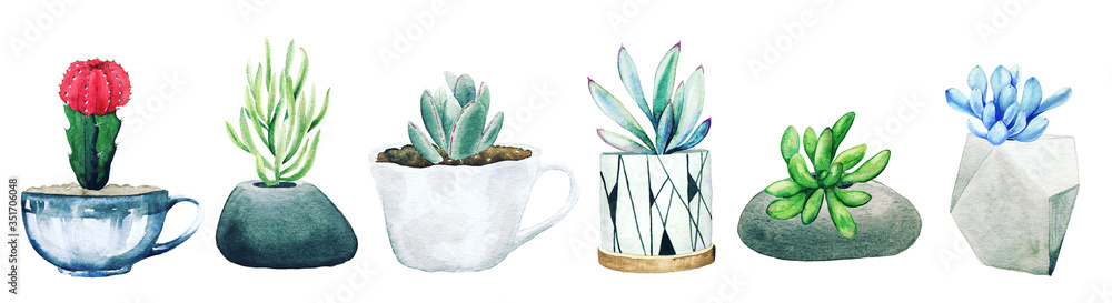 Wall mural Set of six potted cactus plants and succulents