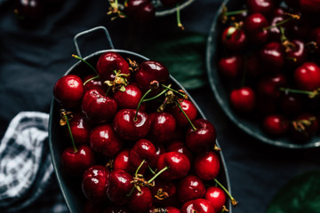 Cerises fraichement cueillies au jardin