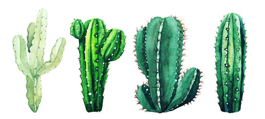 Watercolor set of cactus plants and succulents © nurofina