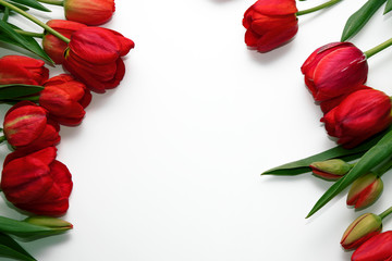White background decorated with red blooming tulips.