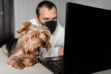 the guy behind the laptop is following the news, the dog is in shock, news of the coronavirus and pandemic, dog in shock of surprise pandemic coronavirus pandemic. of surprise pandemic coronavirus pan