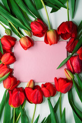 Pink background for inscriptions surrounded by tulips on a white background.