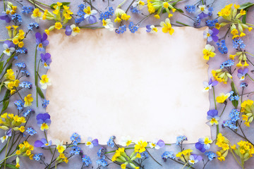 Floral spring background with forget-me-not flowers, pansies, evening primrose and paper for text, greetings
