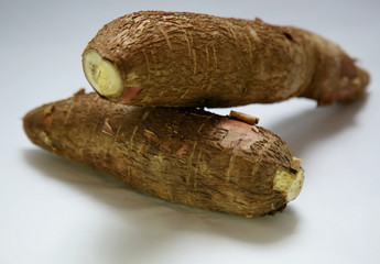 salvador, bahia / brazil - may 22, 2020: cassava roots are seen in the city of Salvador.
