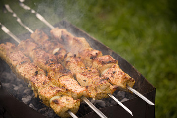 Outdoor picnic with grill and barbecue. Juicy, delicious slices of pickled meat are grilled over charcoal.