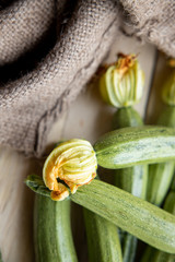 Fresh zucchini or green courgette, farm fresh produce, summer squash on a wooden table 