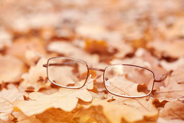 Autumn vision loss concept