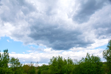 Blue sky with clouds over tree tops