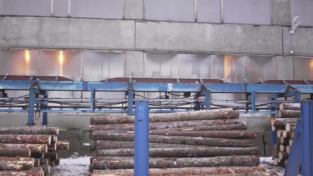 Lumber factory Conveyors of logs sorting machine. Wheel loader and automatic sorting logs diameter at the sawmill. Lumber industry.